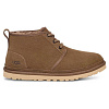 Ботинки Ugg на шнуровке (Бежевый)